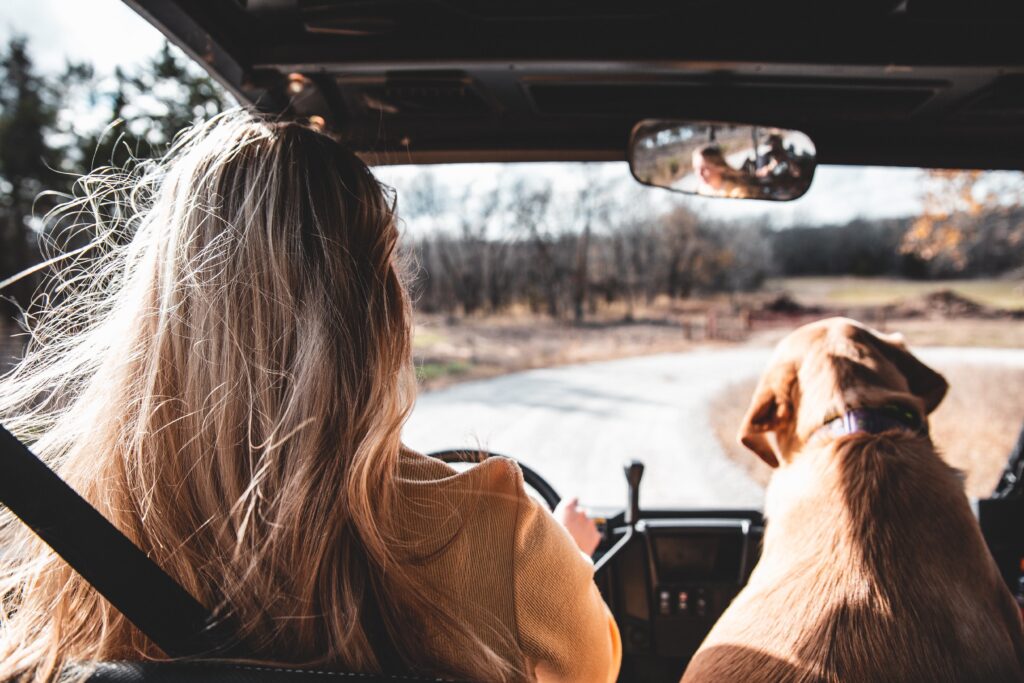 Driving in car 