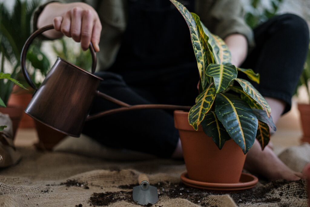 sustainable garden watering