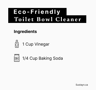 Toilet Bowl Cleaner Recipe