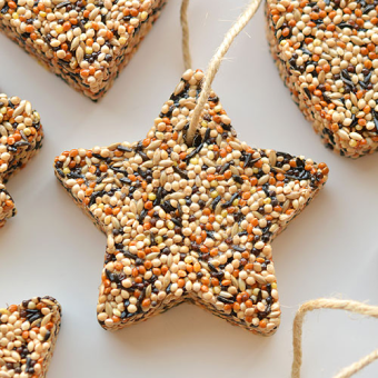 DIY Eco-Friendly Christmas Bird Seed Ornament